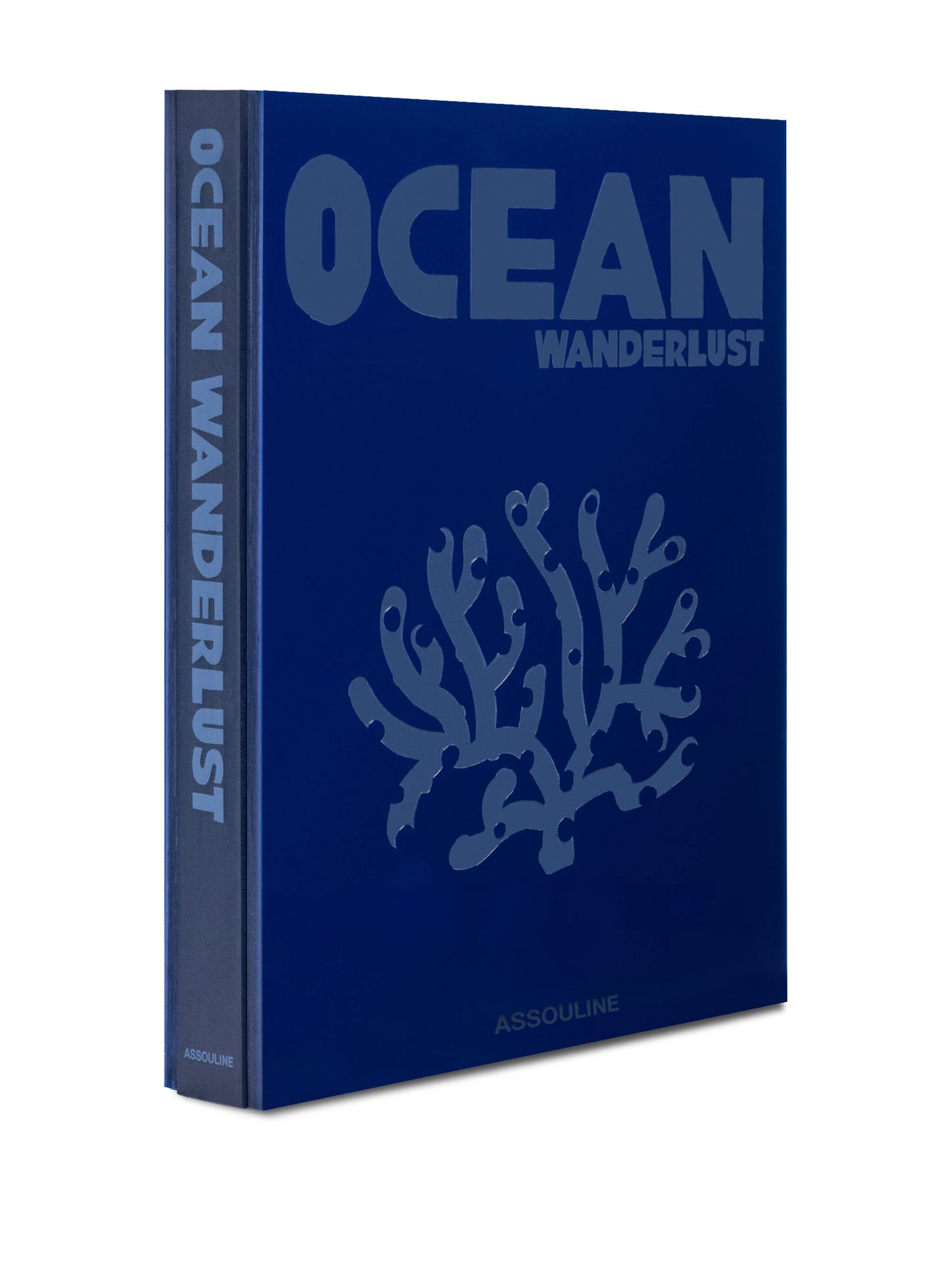 Livre Ocean Wanderlust (Waterproof Edition)