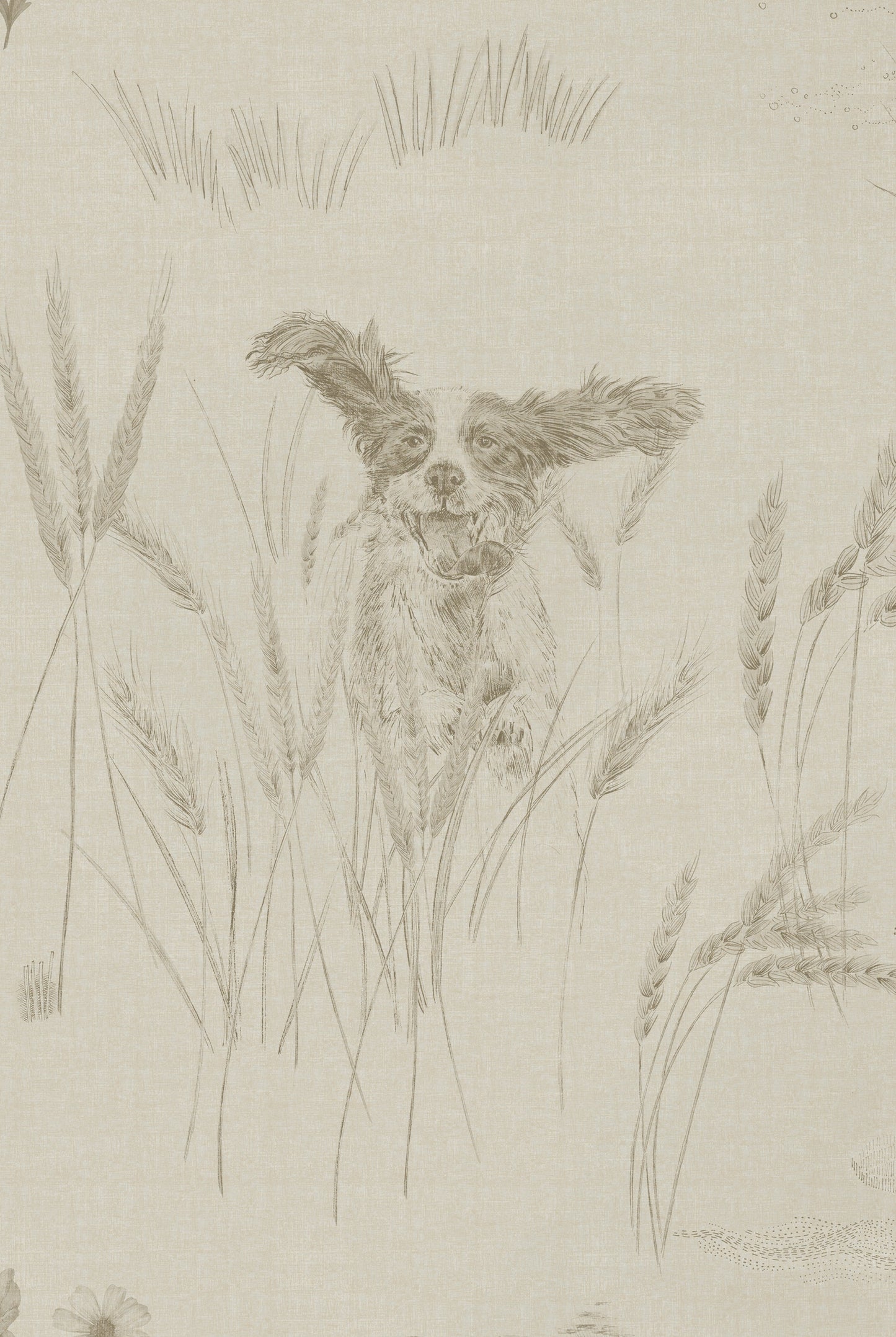Papier Peint DOG TALES Egyptian Cotton