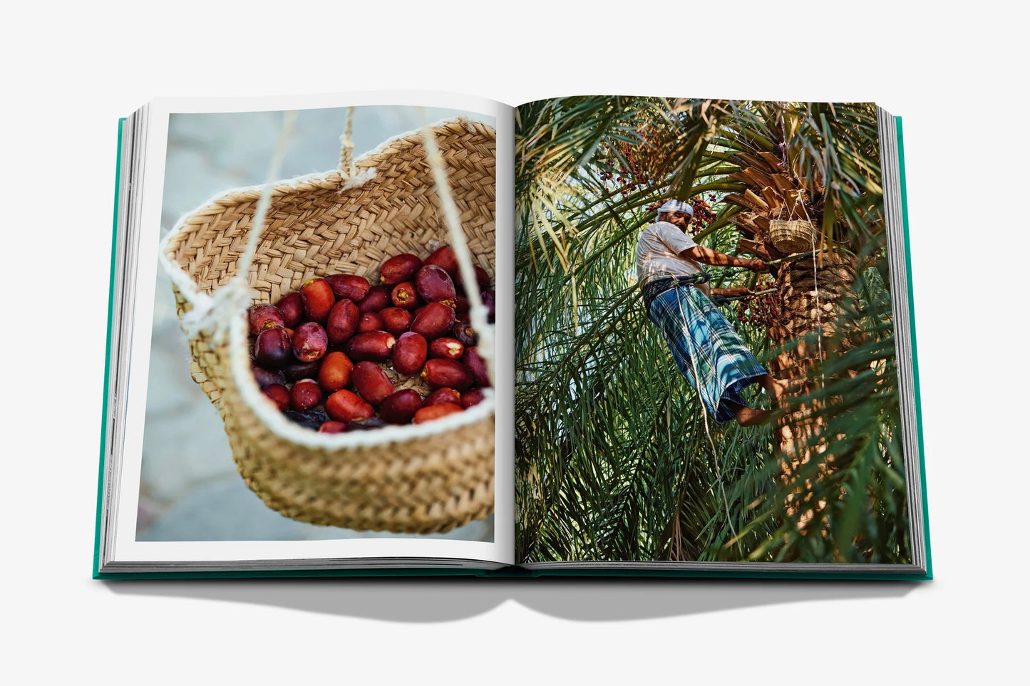 Livre Abu Dhabi Bright