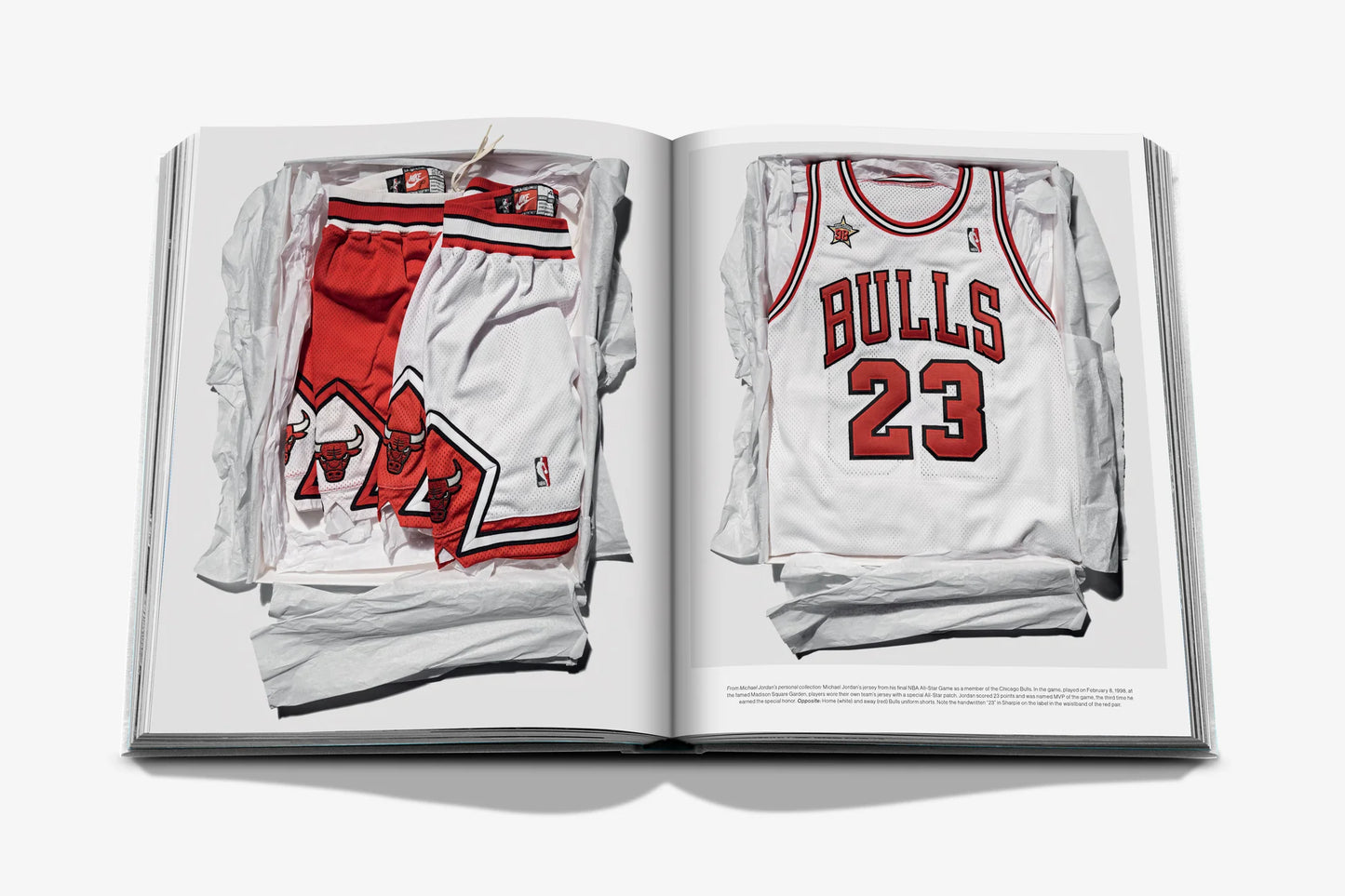 Livre Air Jordan Classic