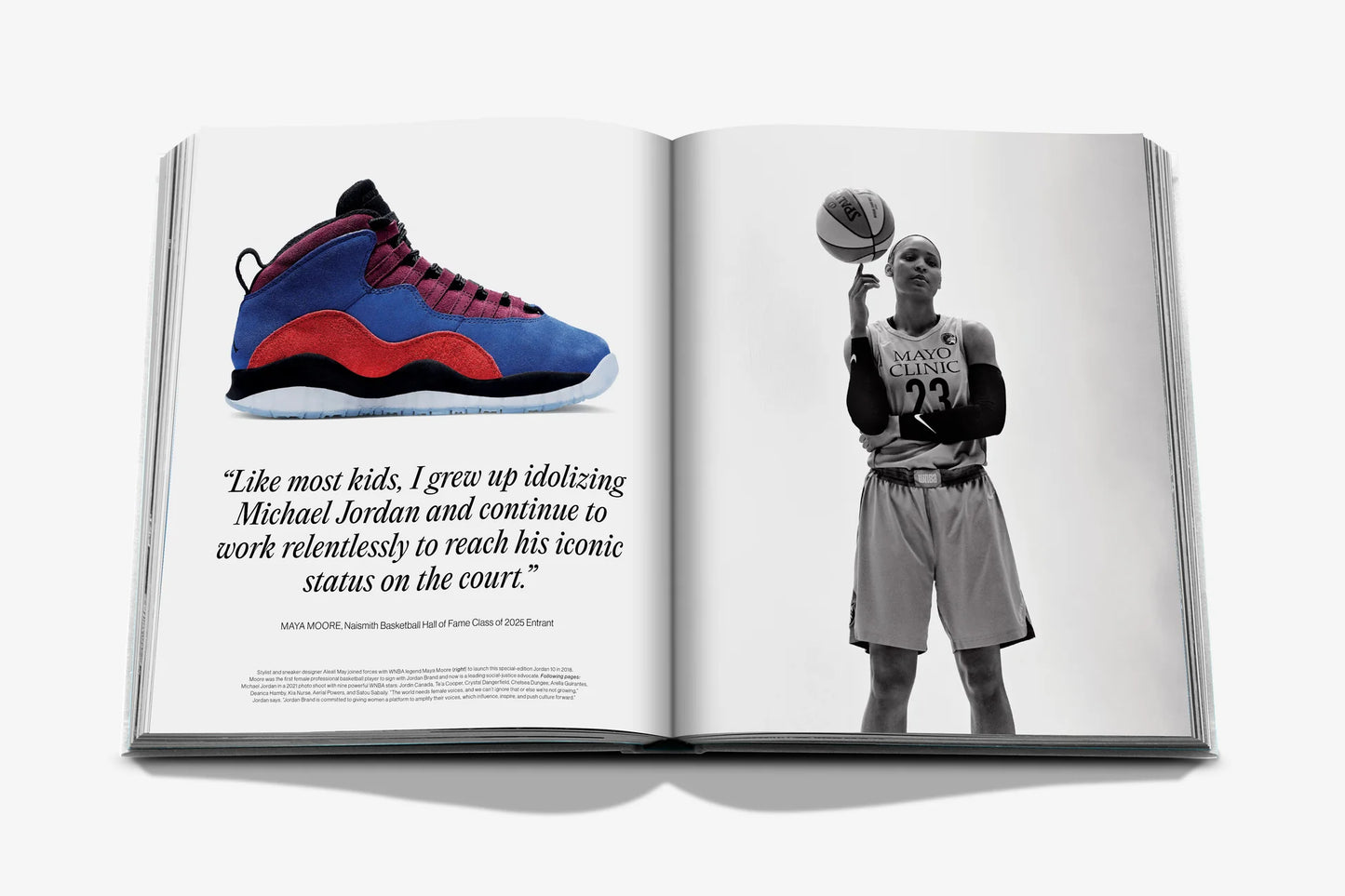 Livre Air Jordan Classic