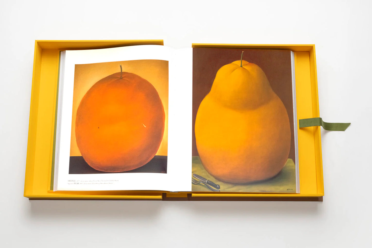 Livre Fernando Botero: Impossible Collection