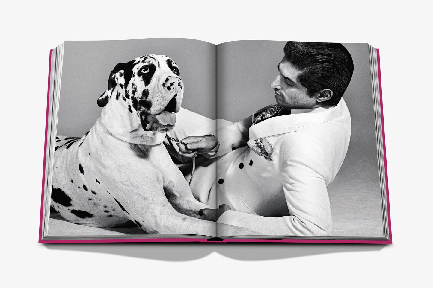 Livre Chic Dogs