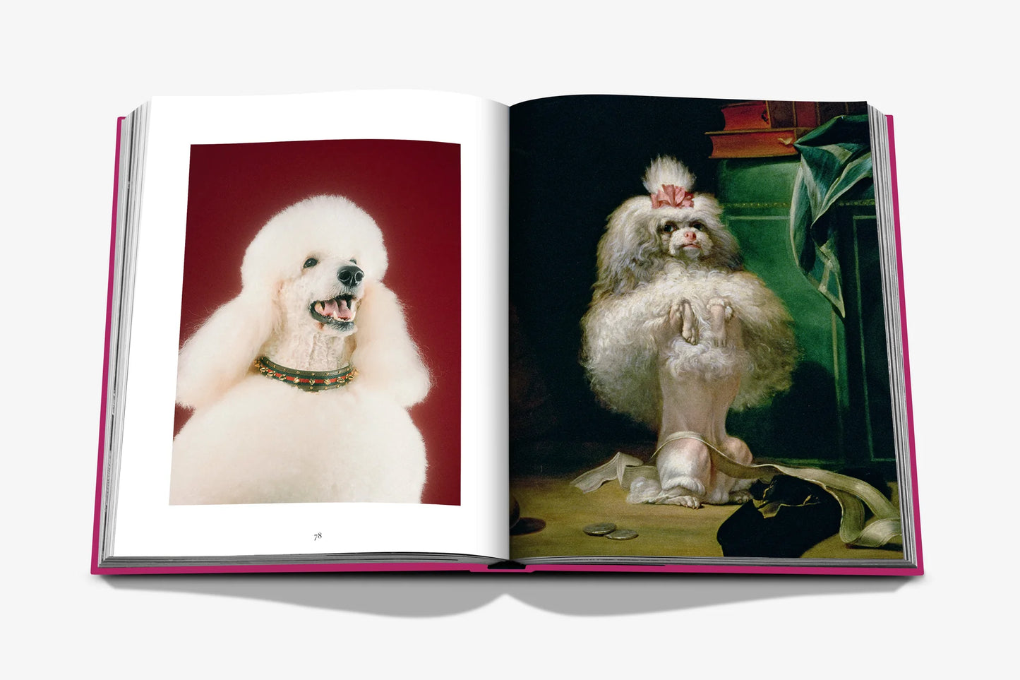 Livre Chic Dogs
