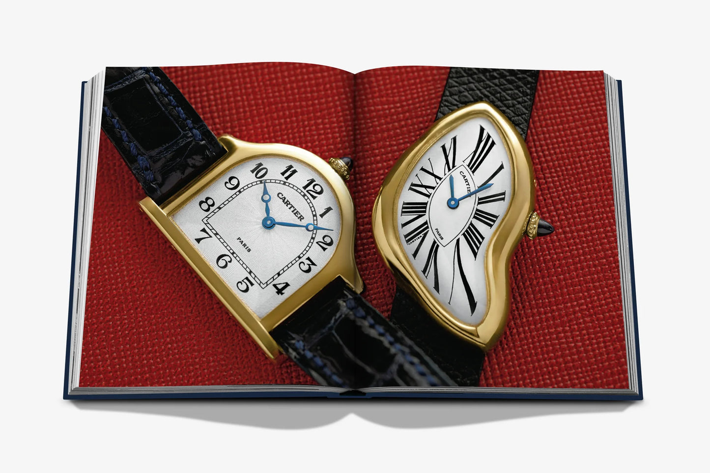 Livre The Connoisseur’s Guide to Fine Timepieces