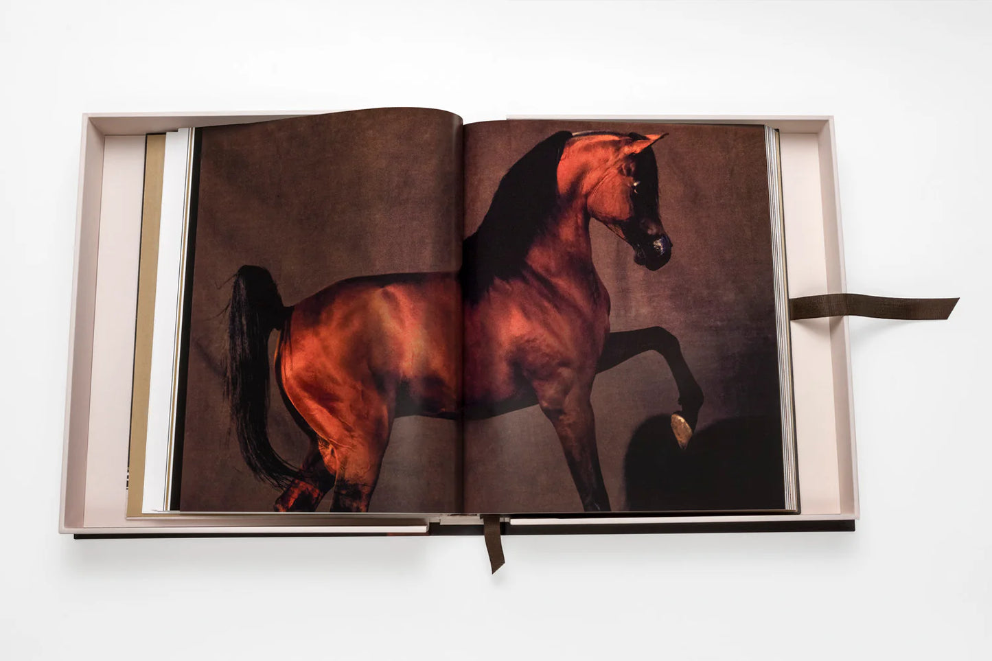 Livre Horses from Saudi Arabia