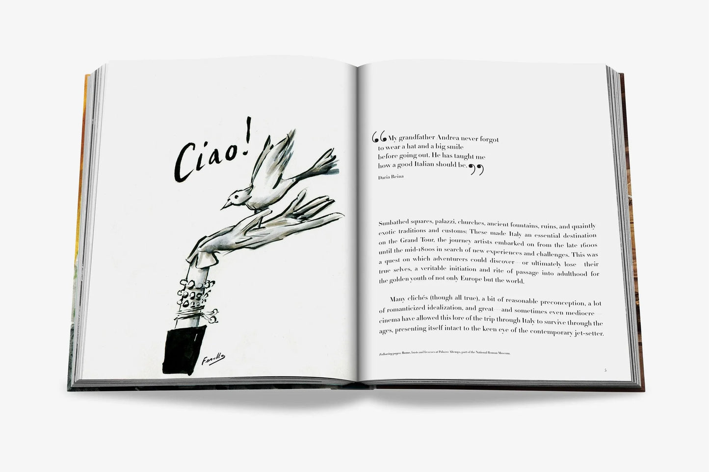 Italian Chic Book