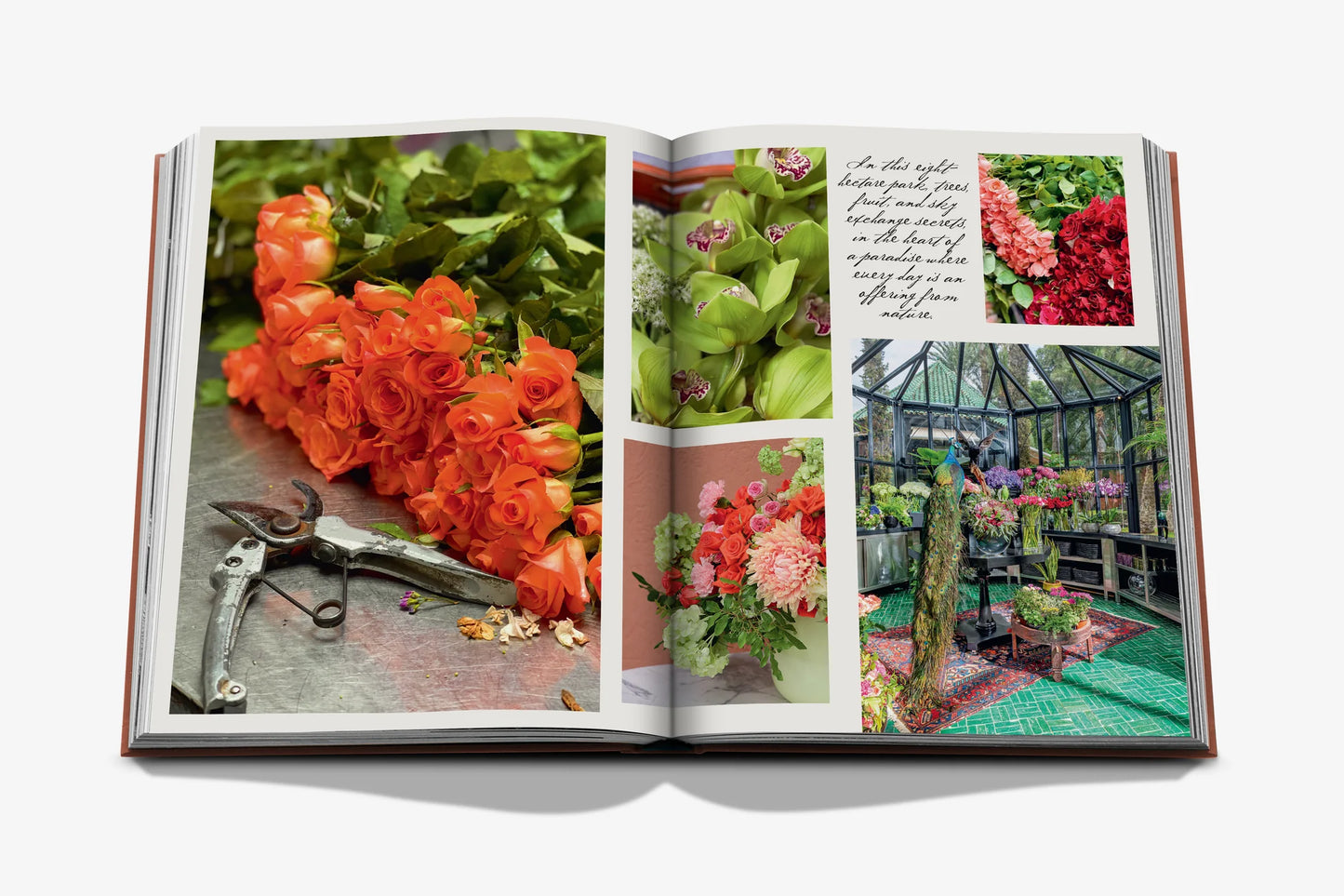 Livre La Mamounia Marrakech