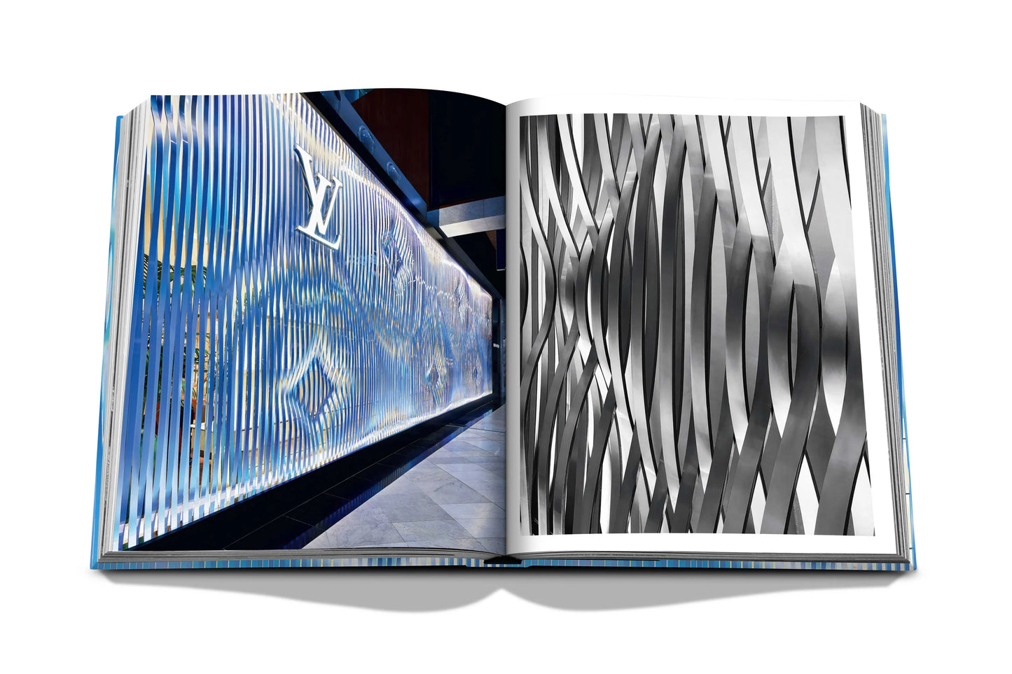 Livre Louis Vuitton Skin: Architecture of Luxury (New-York Edition)