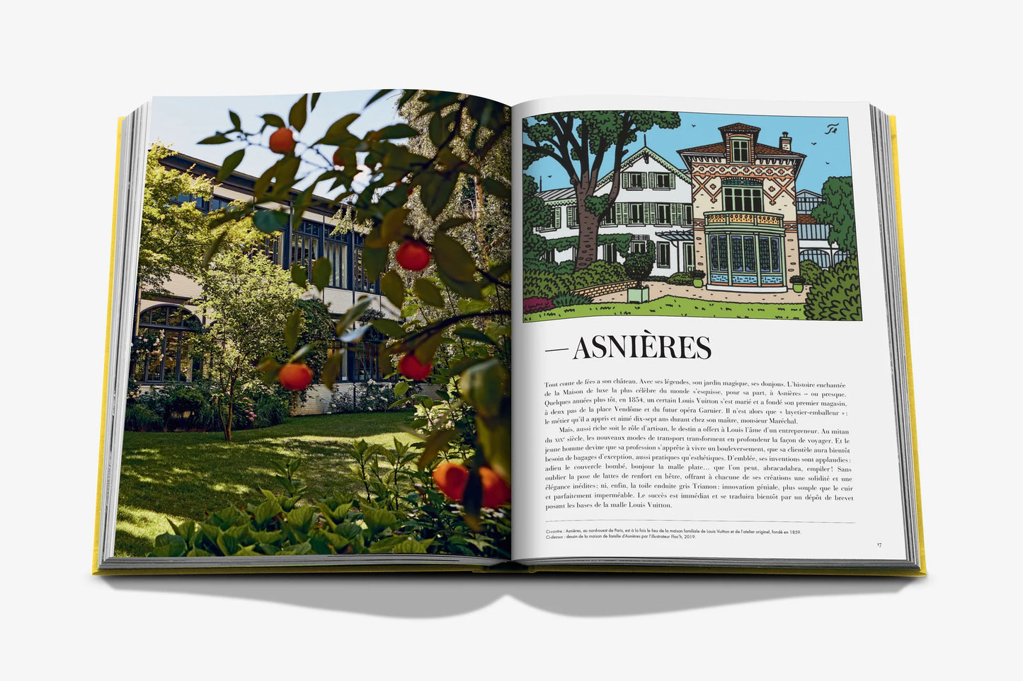 Book Biarritz Basque Assouline