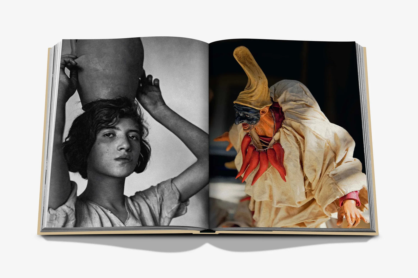 Book Biarritz Basque Assouline