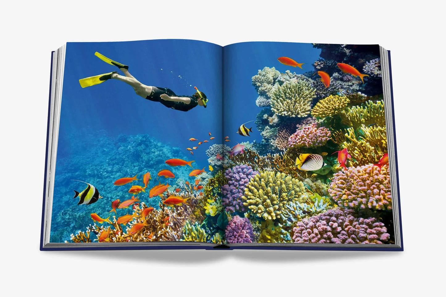 Ocean Wanderlust Book (wasserdichte Ausgabe)