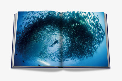 Ocean Wanderlust Book (wasserdichte Ausgabe)