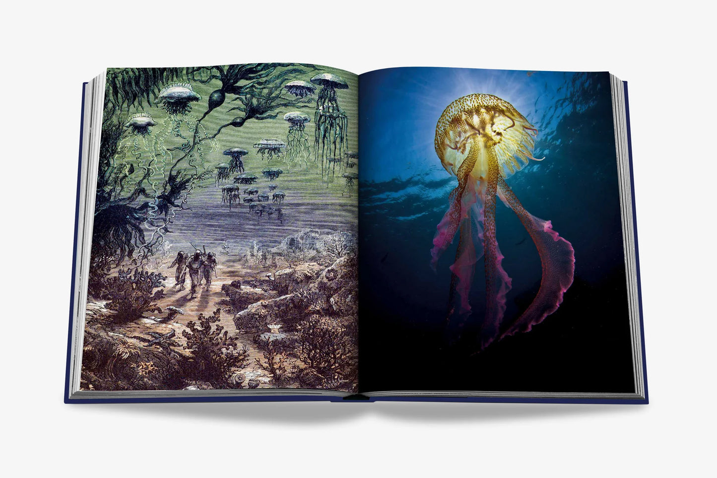 Ocean Wanderlust Book (Waterproof Edition)