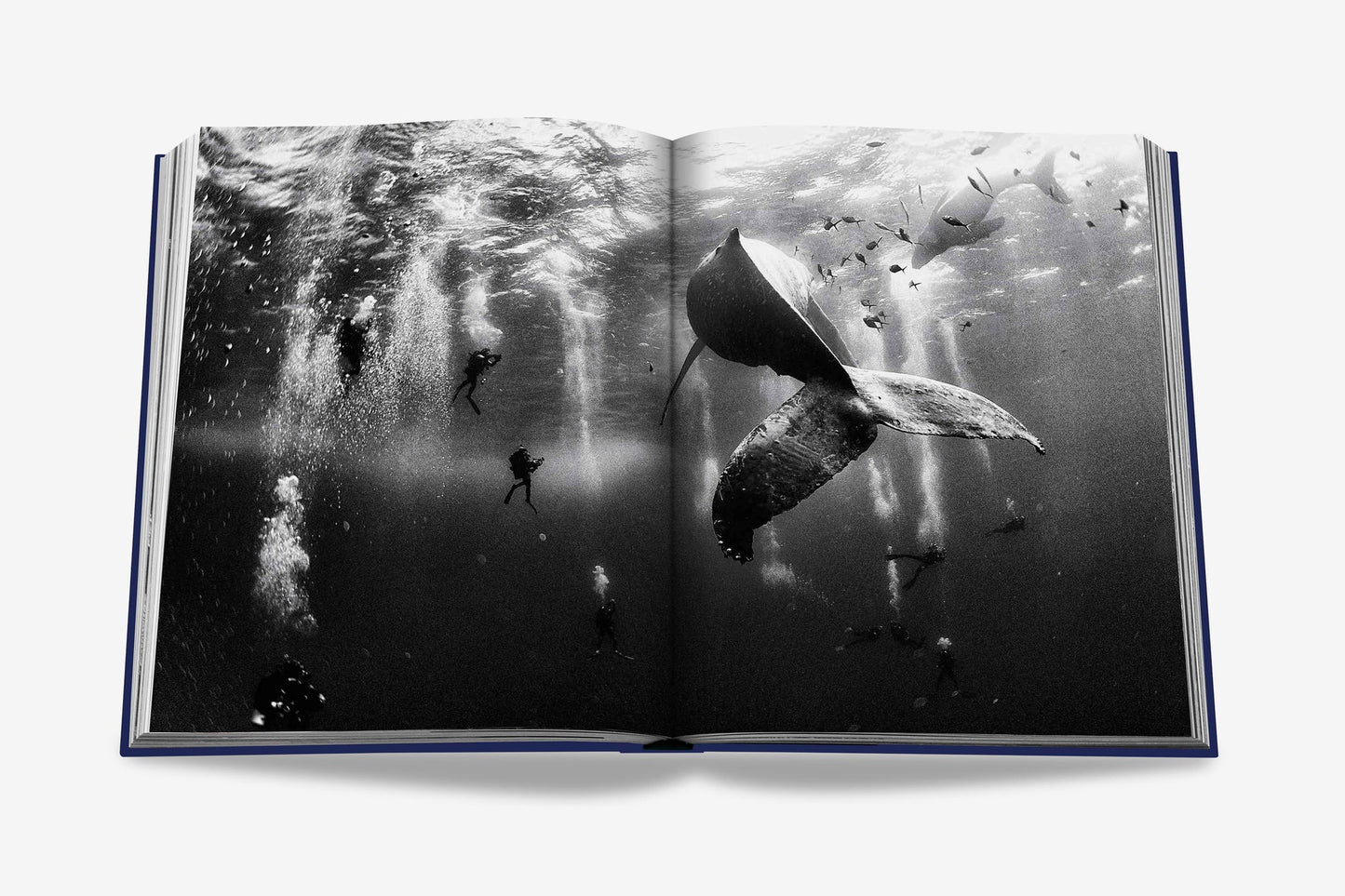 Ocean Wanderlust Book (wasserdichte Ausgabe)