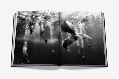 Ocean Wanderlust Book (Waterproof Edition)