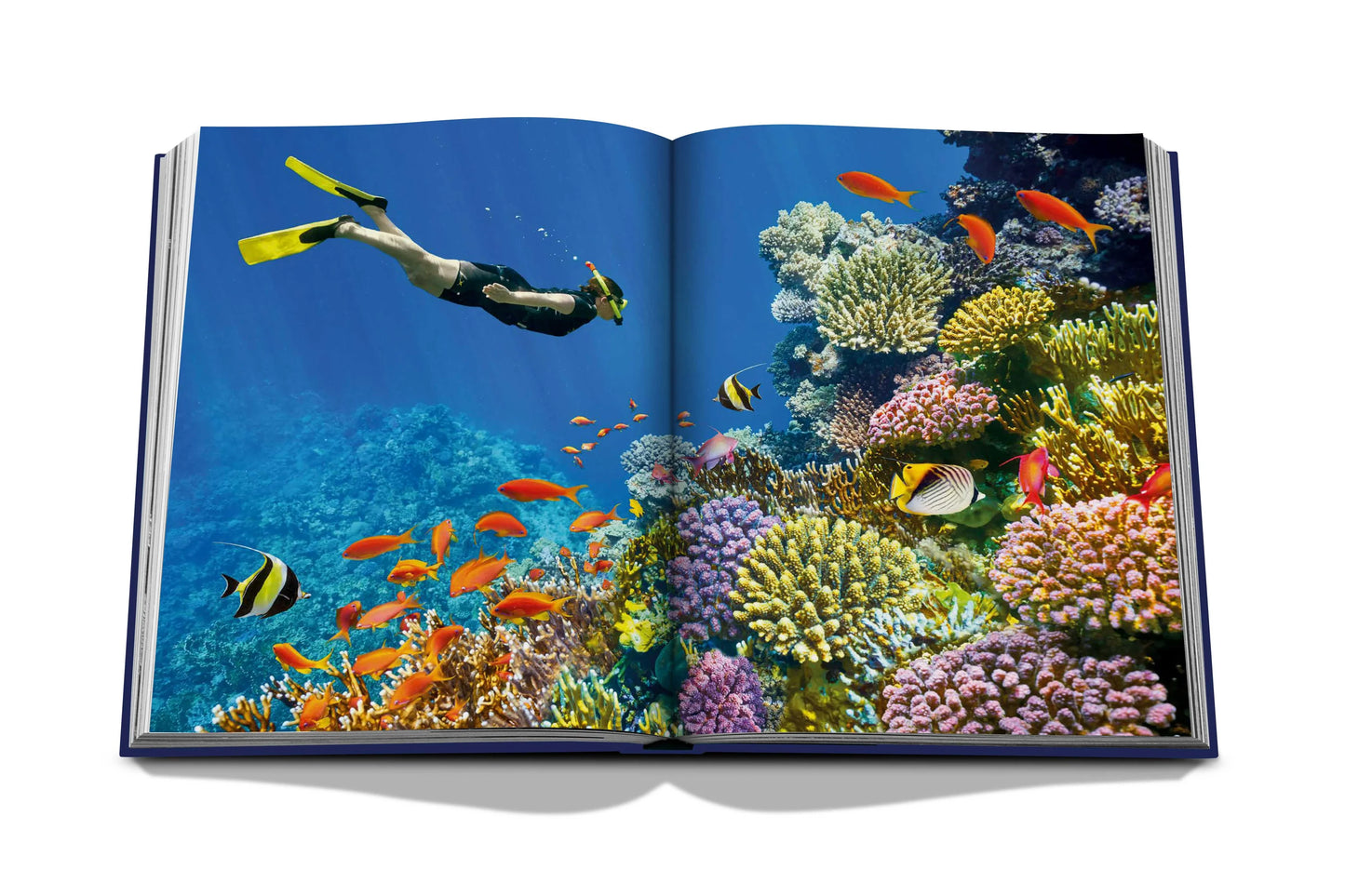 Ocean Wanderlust-Buch