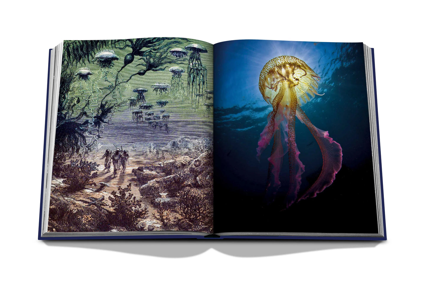 Ocean Wanderlust Book