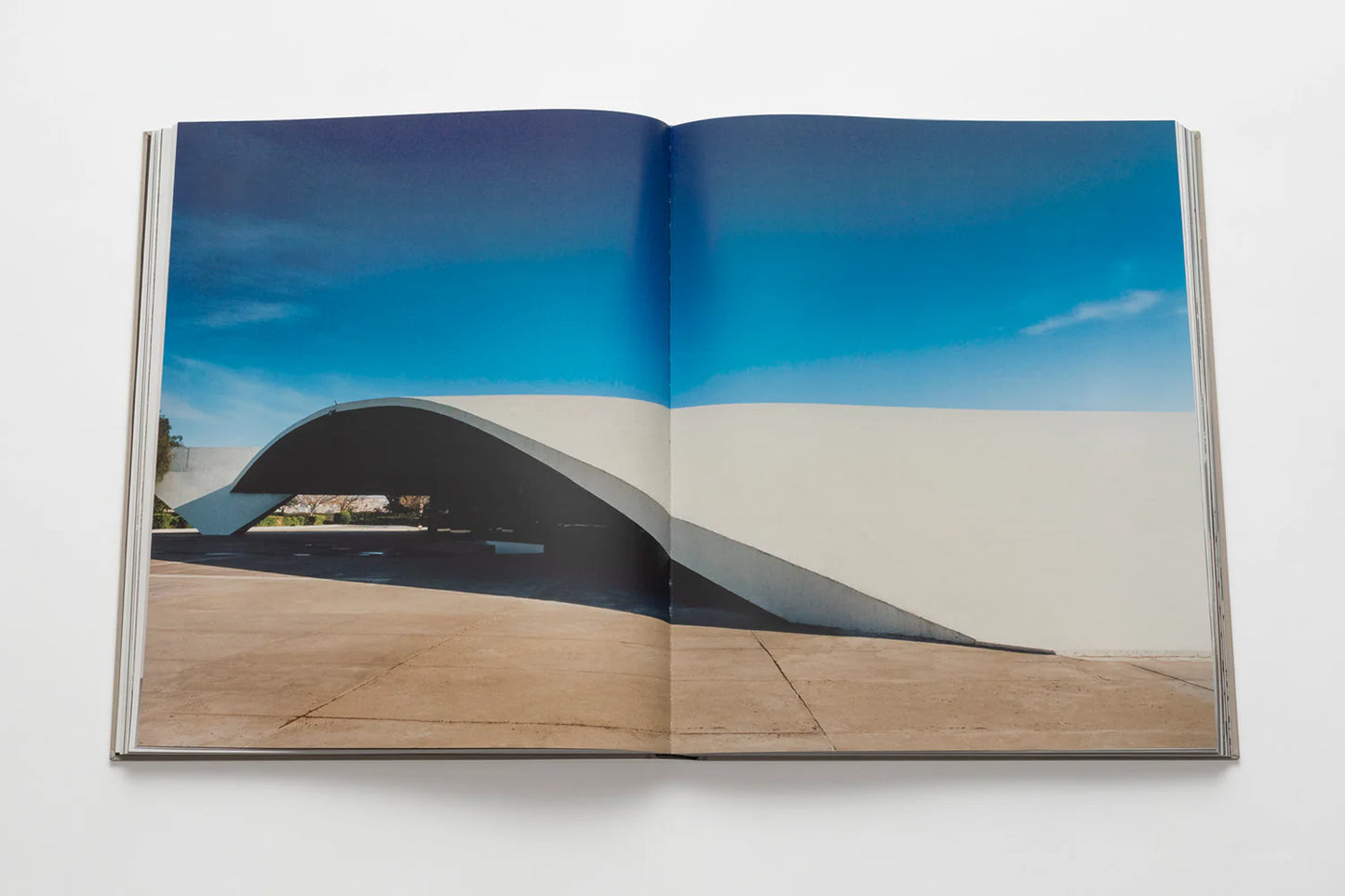 Book Oscar Niemeyer: Impossible Collection