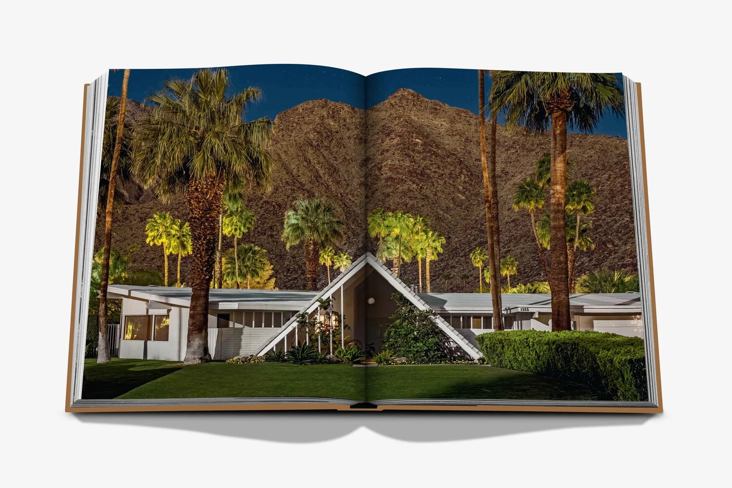 Livre Palm Springs