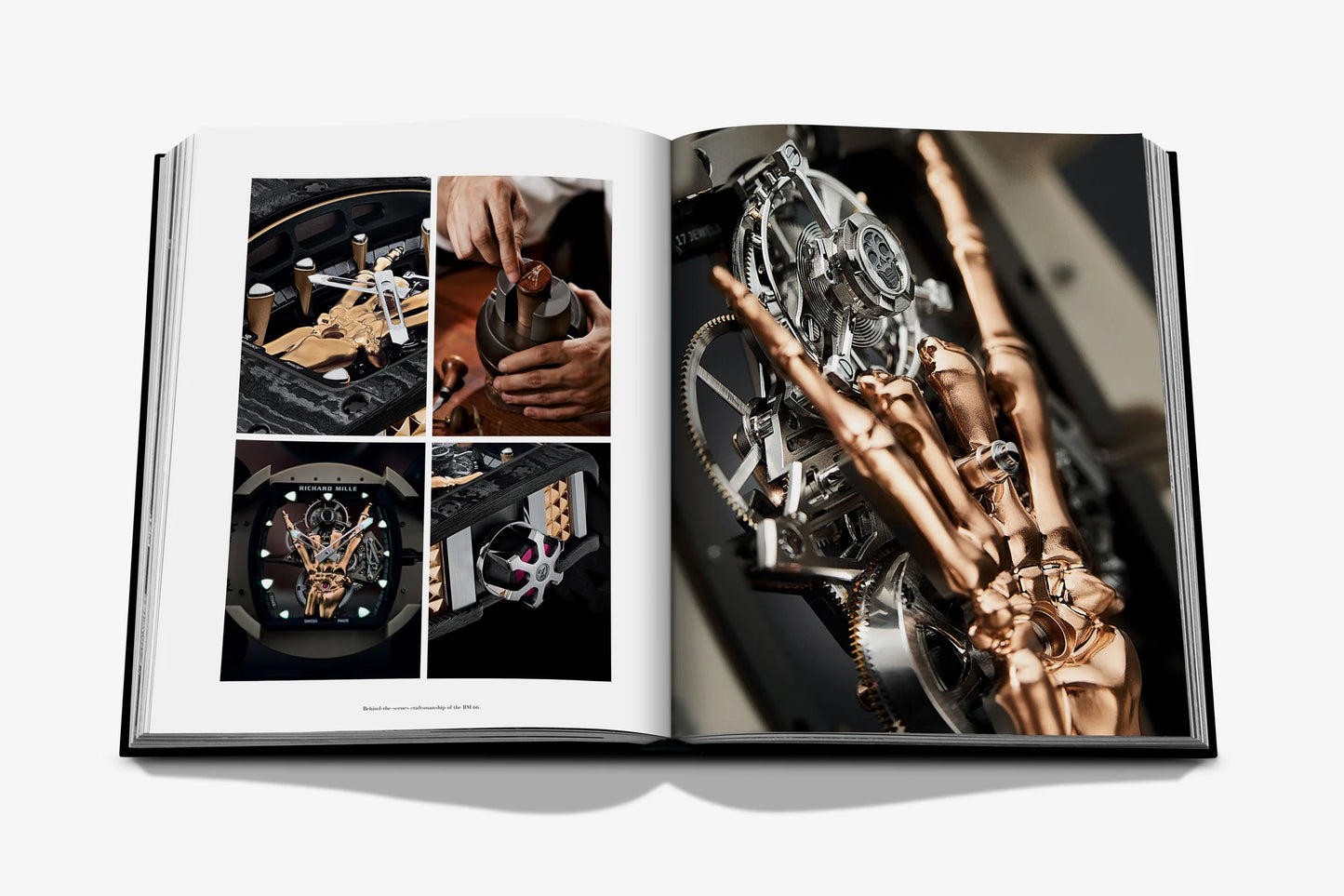 Livre Richard Mille : The Impossible Collection