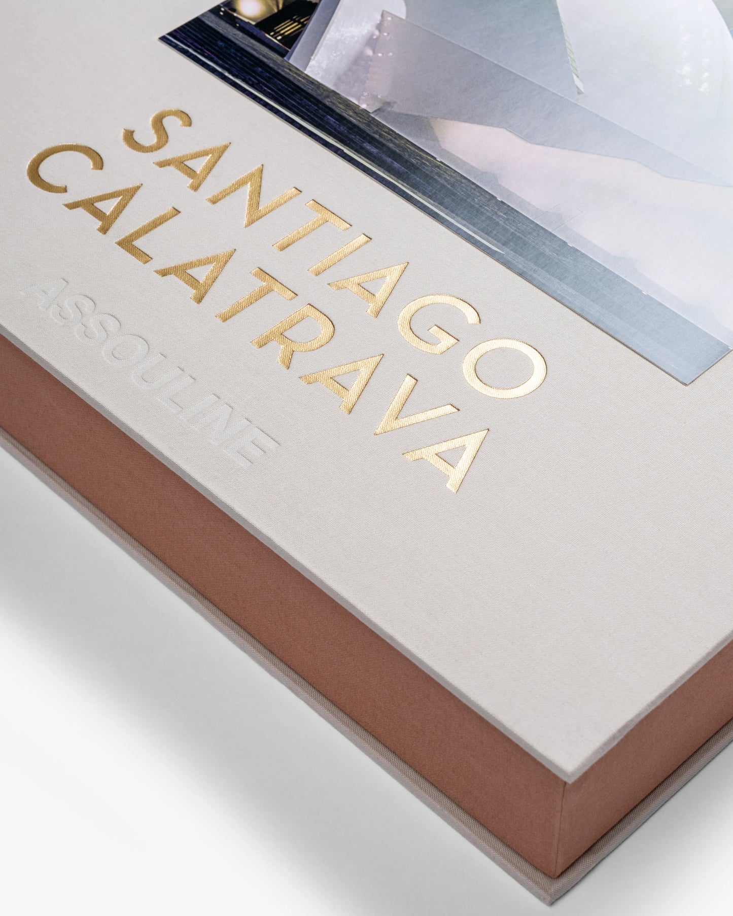 Book Santiago Calatrava: Impossible Collection