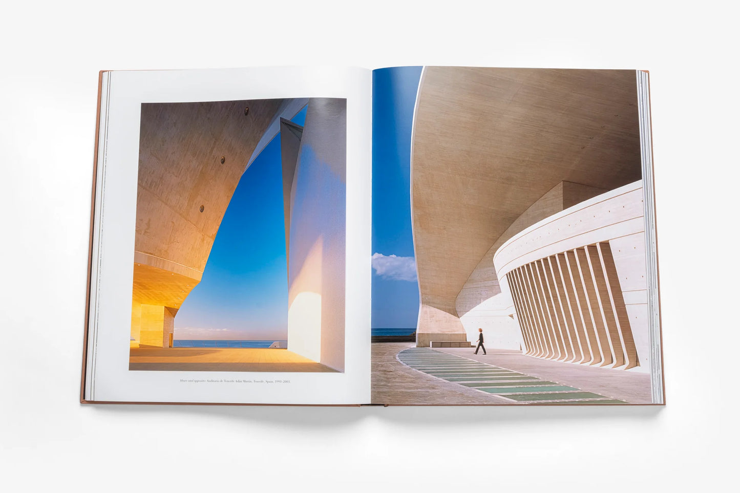 Book Santiago Calatrava: Impossible Collection