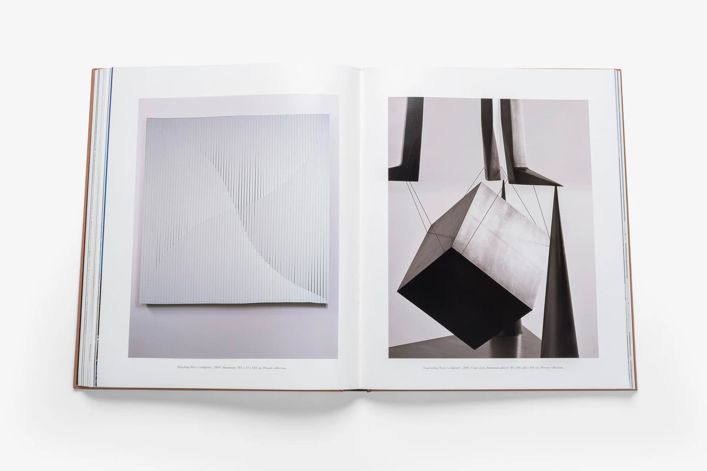 Book Santiago Calatrava: Impossible Collection