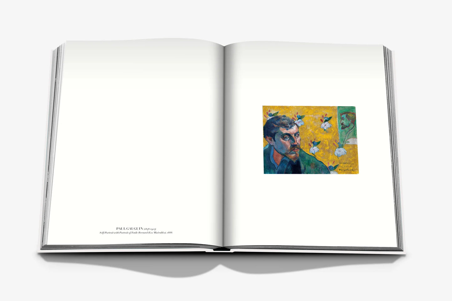 Livre Self Portraits : From 1800 to the Present