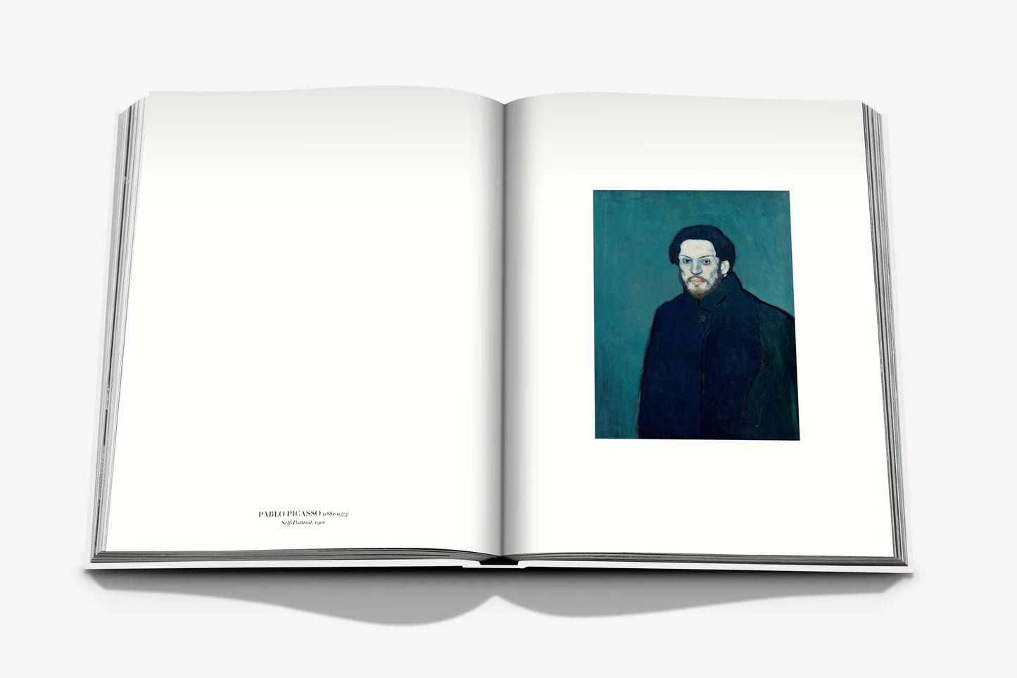 Livre Self Portraits : From 1800 to the Present