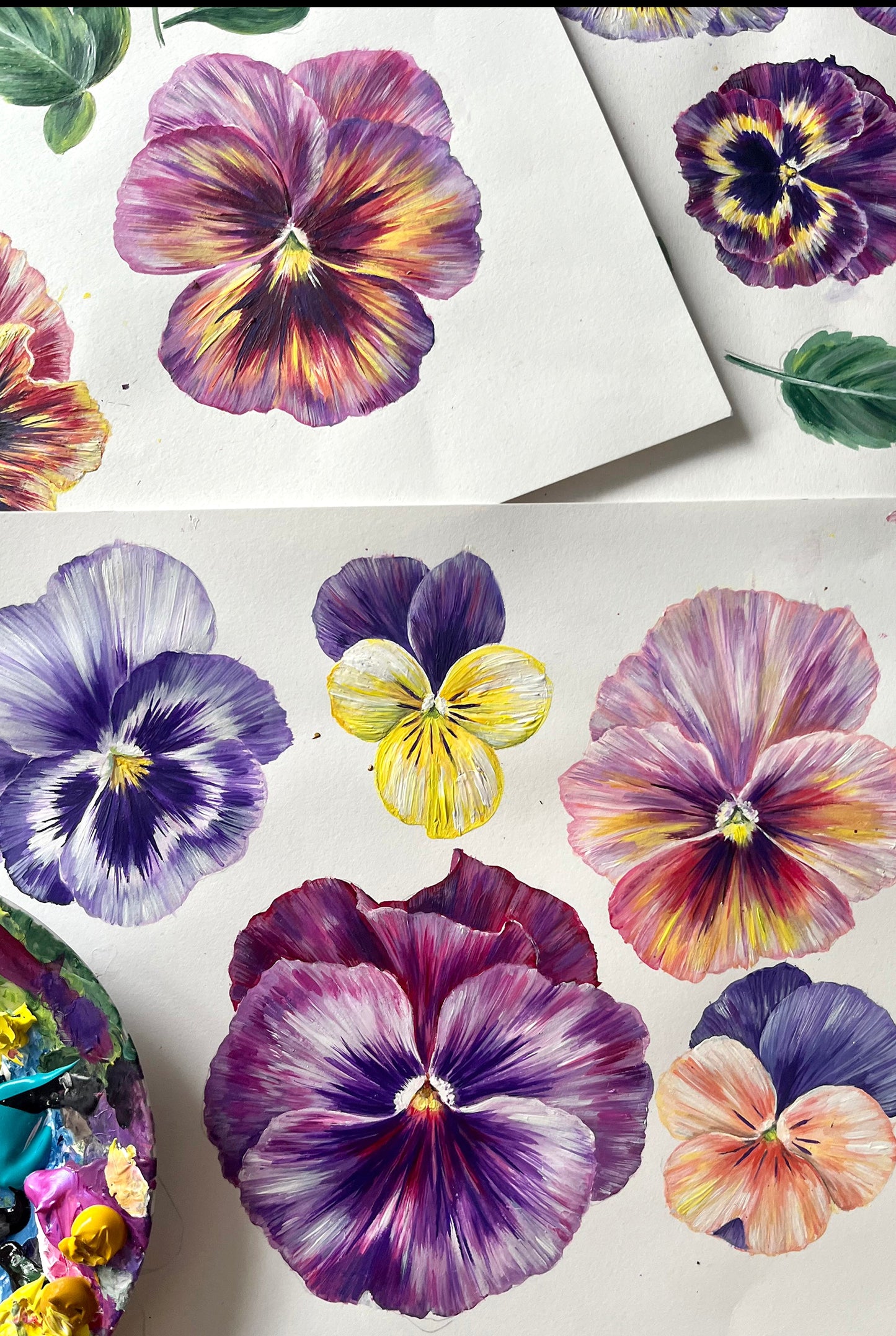 Papier Peint PLETHORA OF PANSIES Bruised Pink