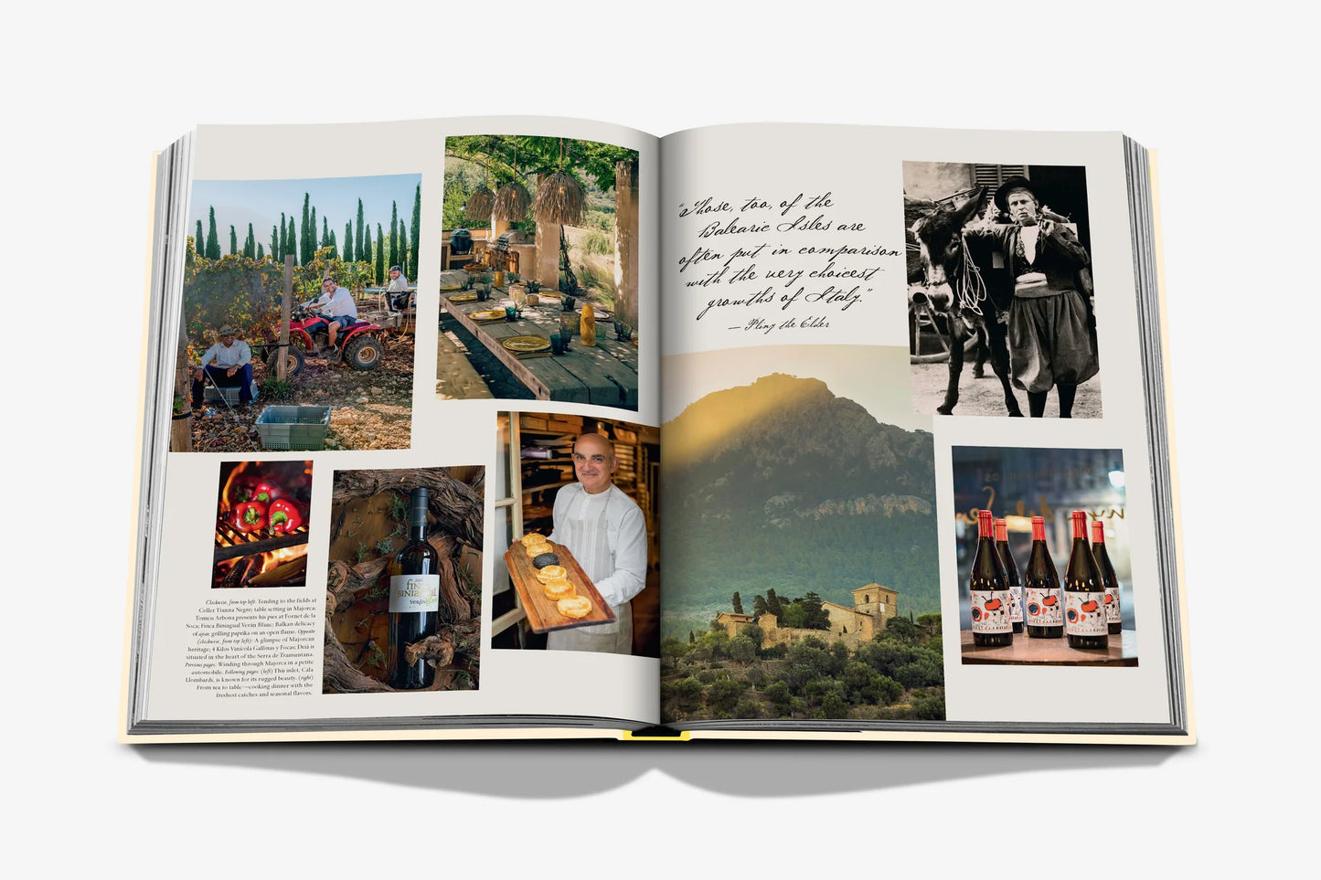 Livre Wine & Travel - Mediterranean Islands