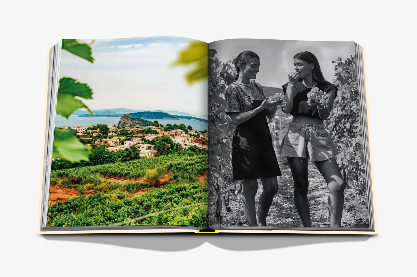 Livre Wine & Travel - Mediterranean Islands