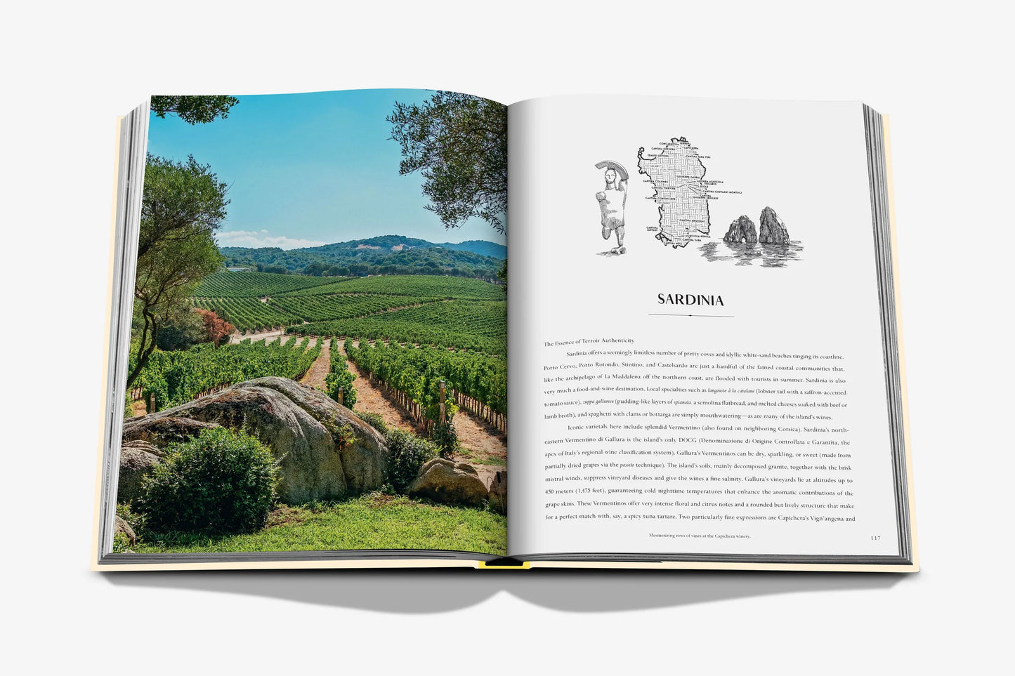 Livre Wine & Travel - Mediterranean Islands