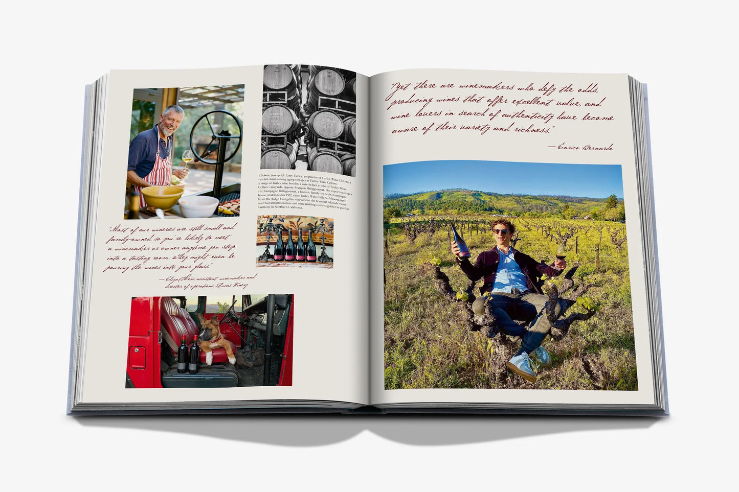 Livre Wine & Travel United States of America