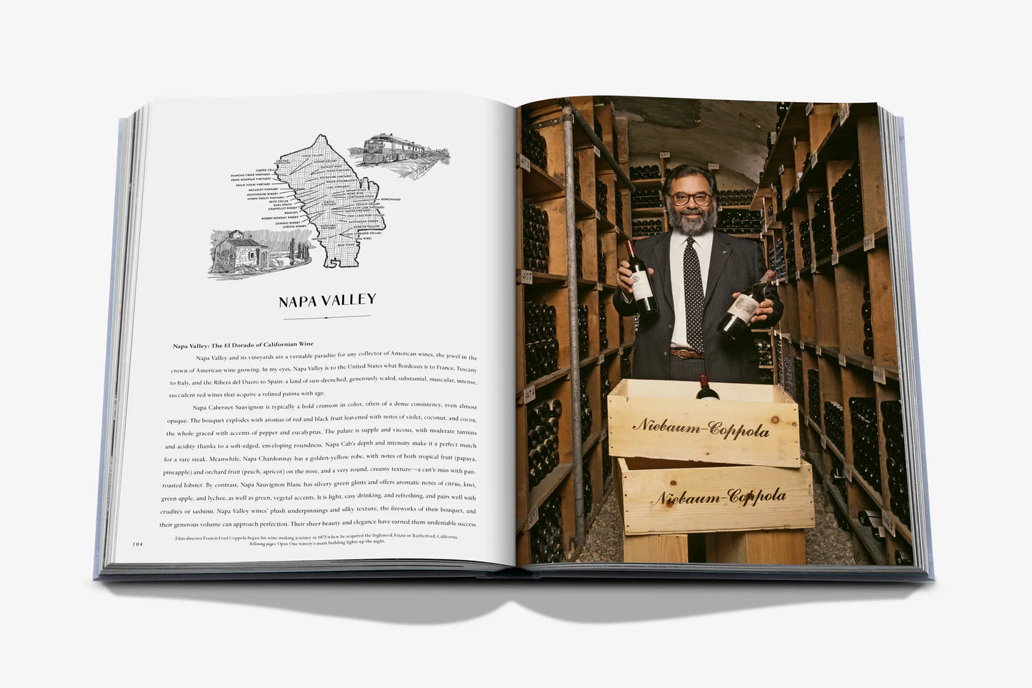 Livre Wine & Travel United States of America