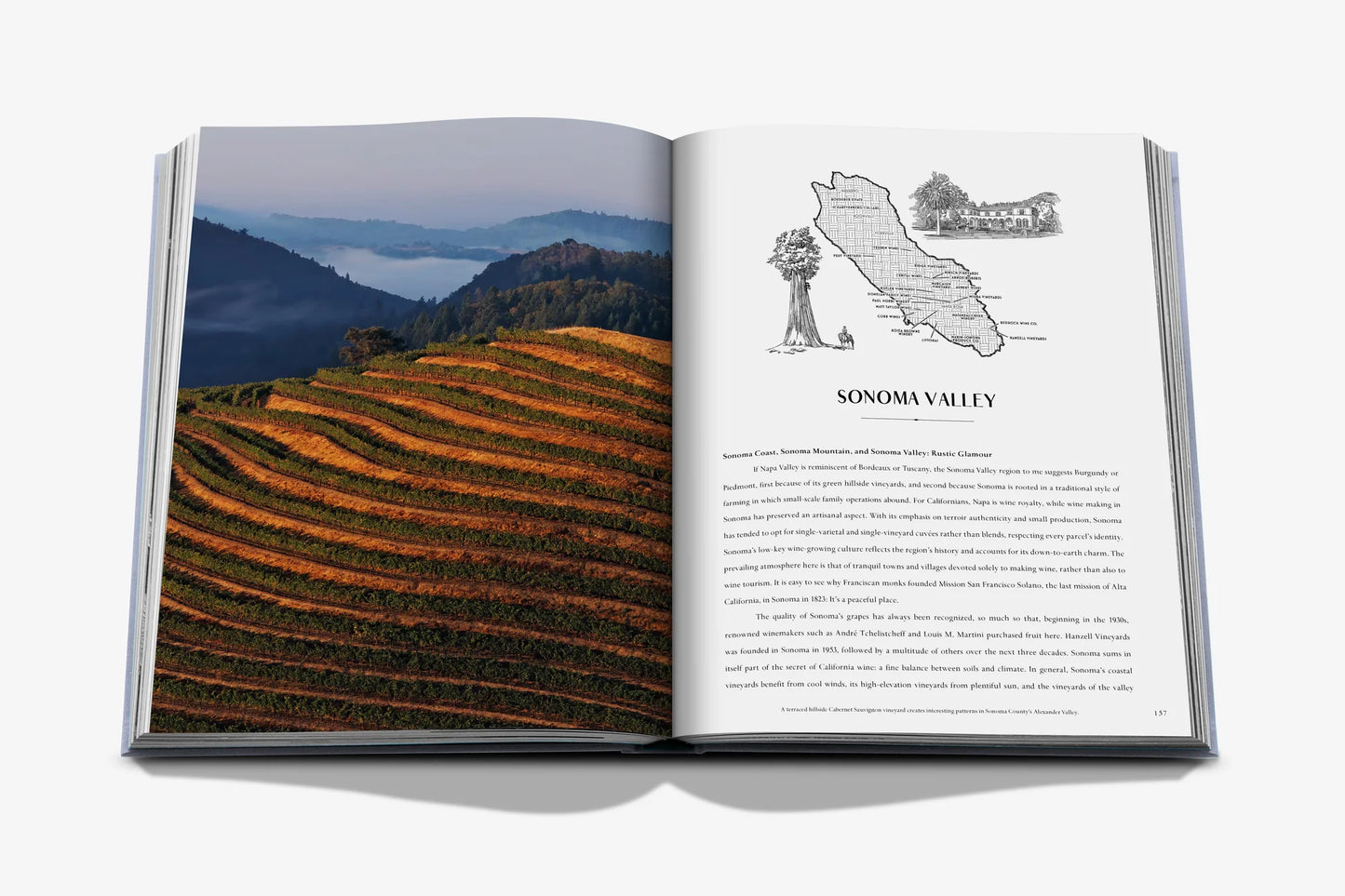 Livre Wine & Travel United States of America