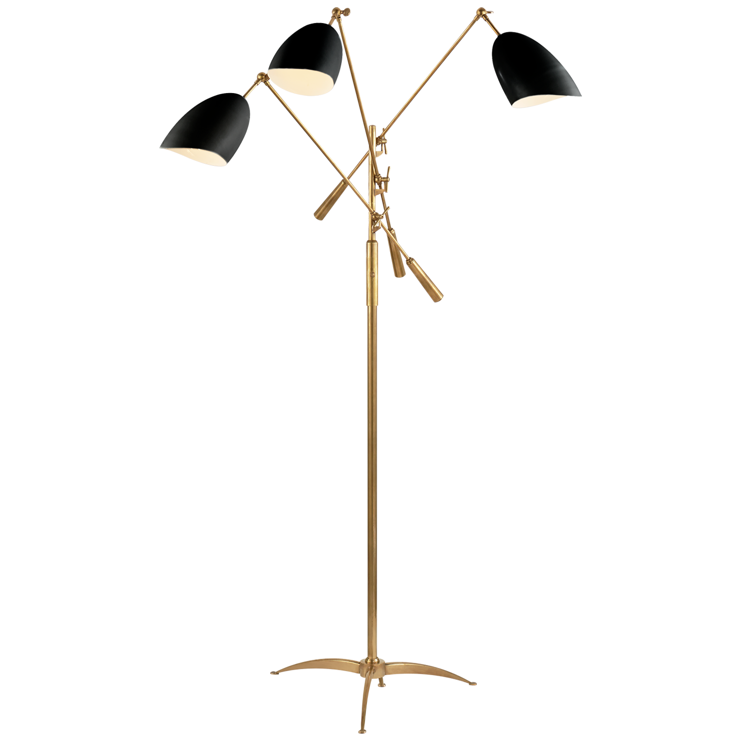 Sommerard Black Brass Floor Lamp