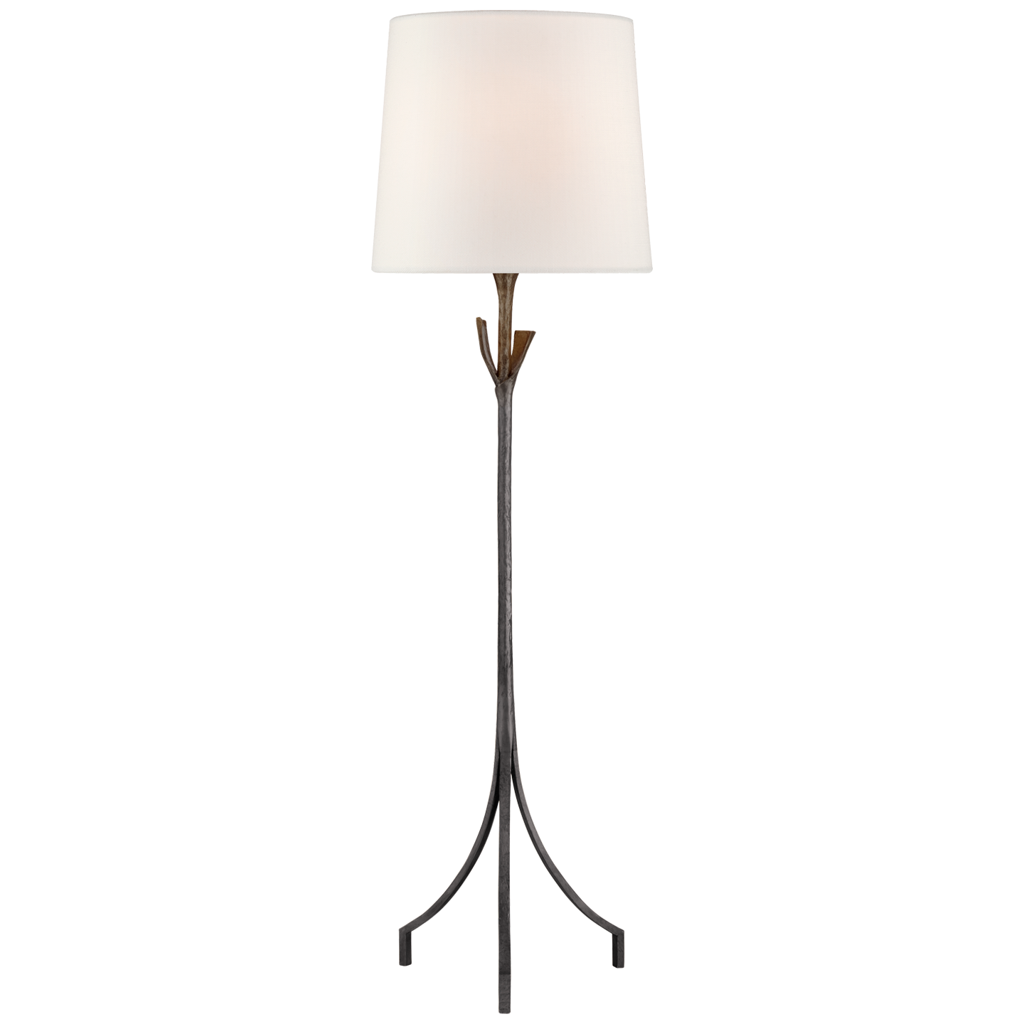 Fliana Aged Iron Floor Lamp