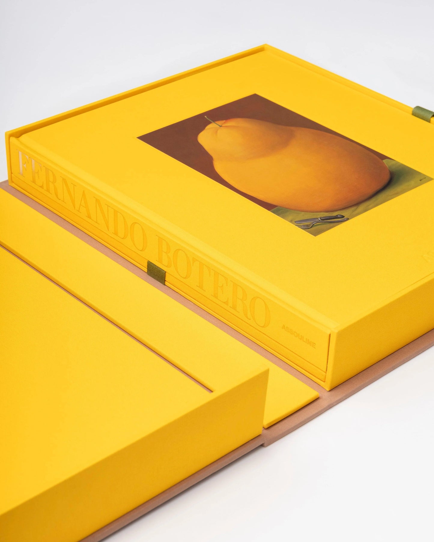 Livre Fernando Botero: Impossible Collection