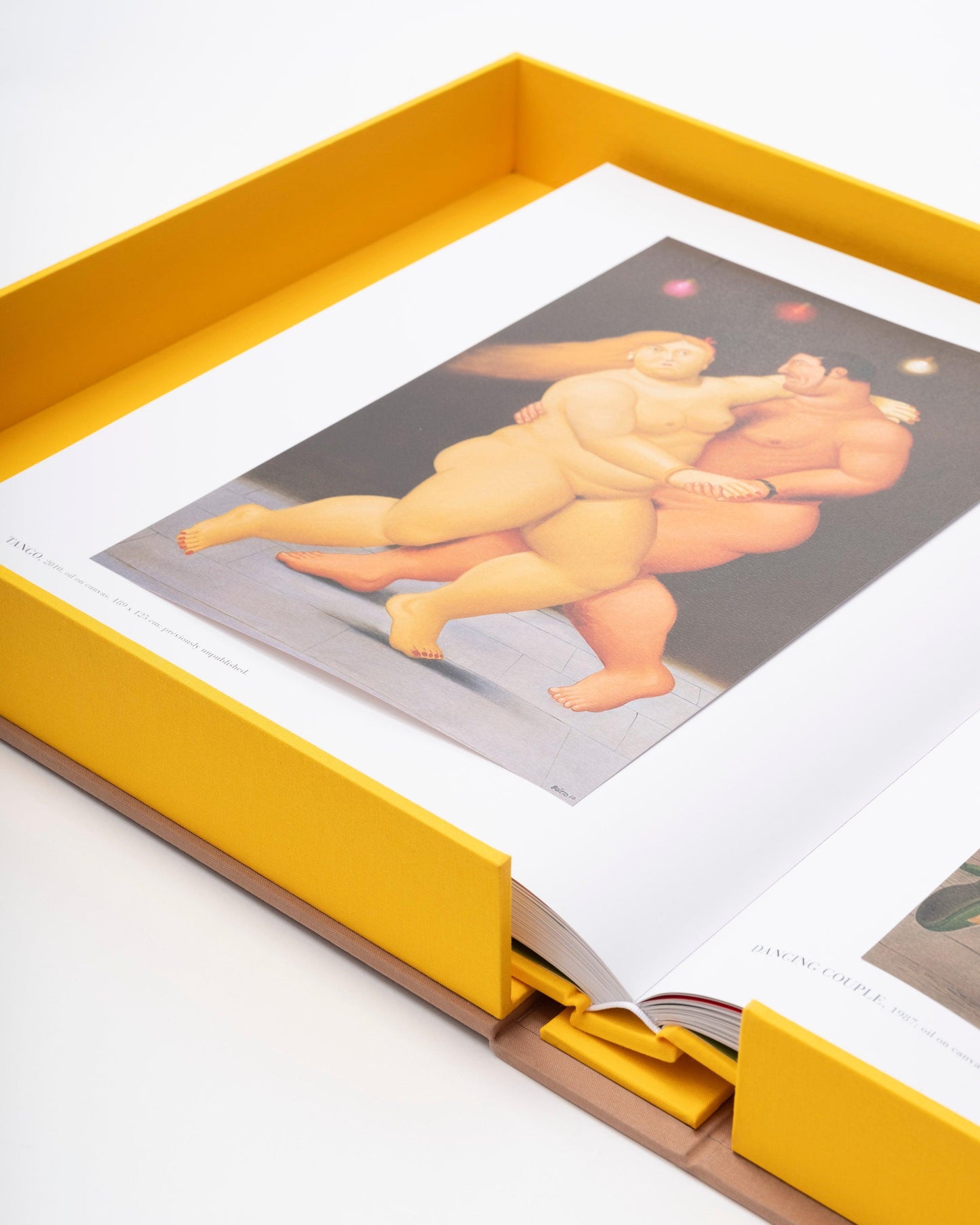 Book Fernando Botero: Impossible Collection