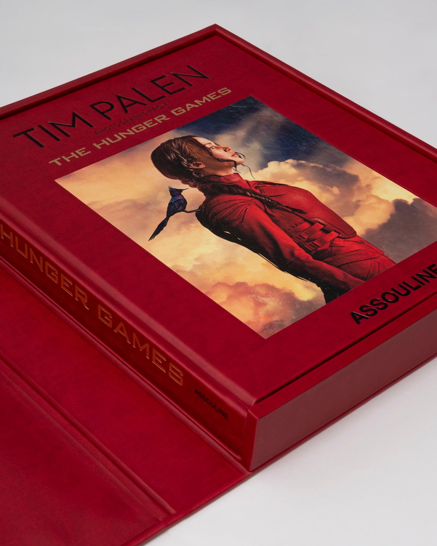 Livre Tim Palen Photographs From The Hunger Games : Impossible Collection