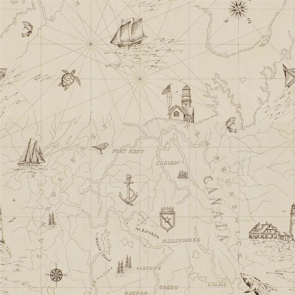 Shipping Lanes Map - Bone