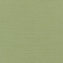 Charger l&#39;image dans la galerie, Brera Grasscloth Peridot
