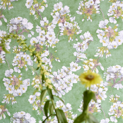 Assam Emerald Flower Wallpaper