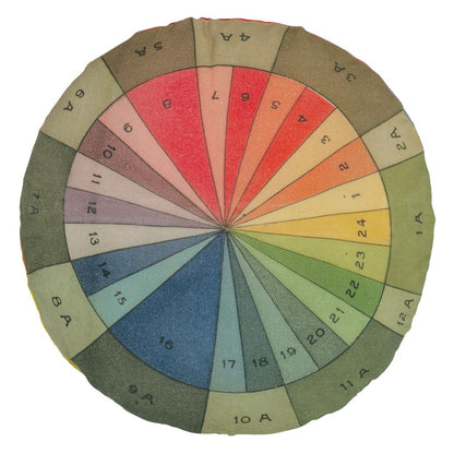Color Wheel Multicolor Cushion