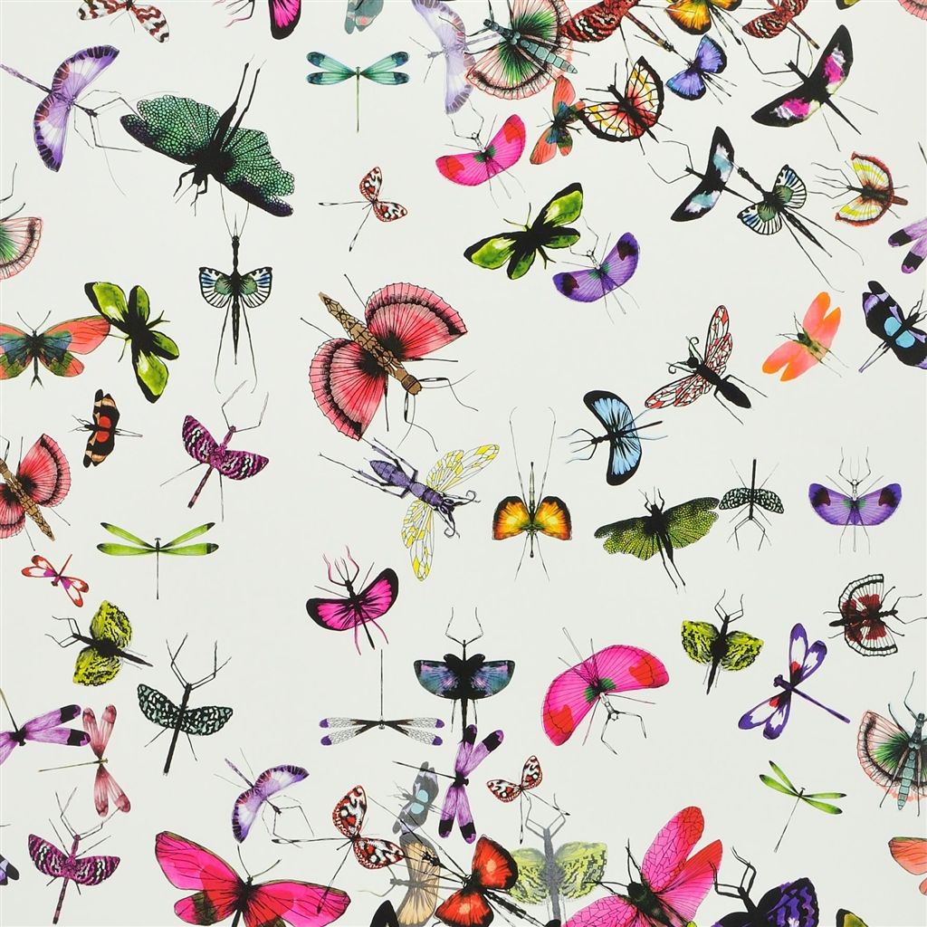 Mariposa - Perroquet Wallpaper