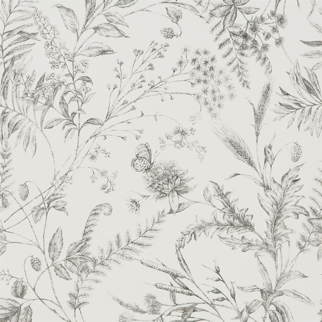 Fern Toile - Pencil