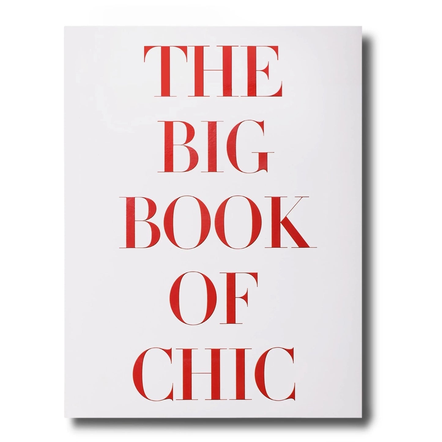 Livre The Big Book of Chic