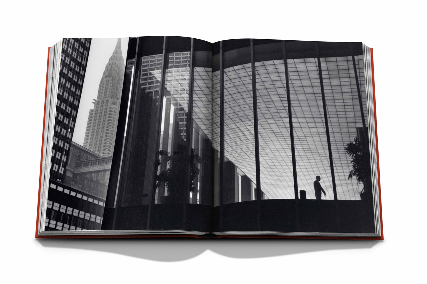Livre New York by New York